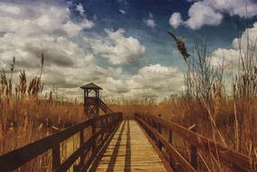 countryside outdoors scenic