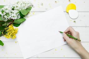 blank paper