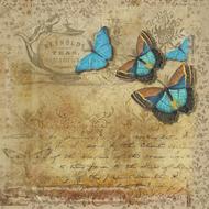 vintage paper with blue butterfly