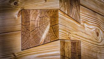 Beautiful, brown, wooden texture of different shades