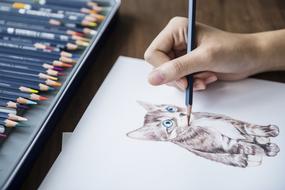 kitten as an illustration of the artist