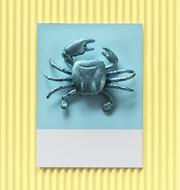 Background Blue Card crab drawing