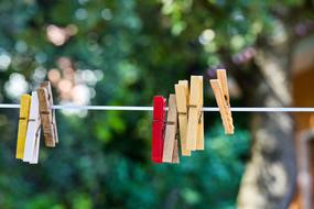 Clothespins Mollete