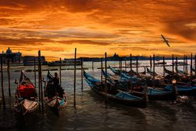gondolas near poles on water at scenic sunset, italy, venice