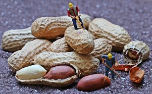 Miniature Figure and nut