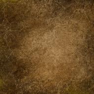 Beautiful, old, brown texture of the different shades