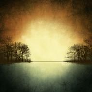 trees by the river against the setting sun