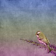 drawn tit on a branch against the night sky