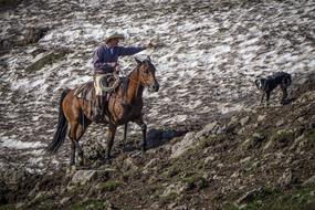 drawn cowboy on a horse with a dog by the sea