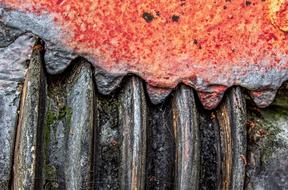 Close-up of an old, weathered tooth of a thread