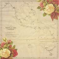 vintage background with map and roses