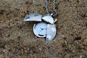 Sand Clock Time
