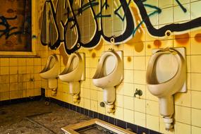 grunge toilet of abandoned building