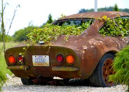 green plants in vintage rusty car