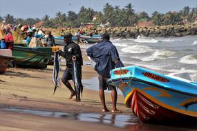 Fish Beach Indian Ocean