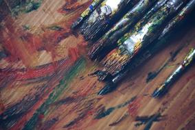 brushes smeared with paints on the palette