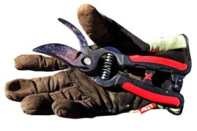 garden shears and a dirty glove