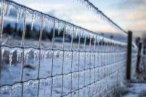 icicles on wire fence at evening