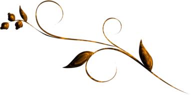 swirl decorative leaves decor drawing