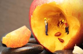 small-scale workers figures in the apple
