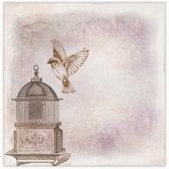 vintage background with bird and cage