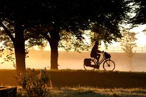 silhouette of a cyclist under a tree at sunrise