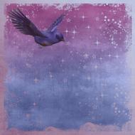 bird flying purple drawing