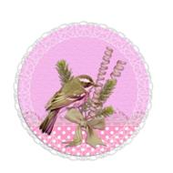 lace round picture of a bird