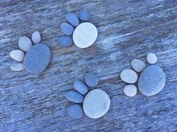paws made of stones