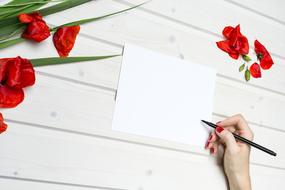 female hand with pen at empty sheet of paper, background