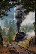 moving steam locomotive in the countryside