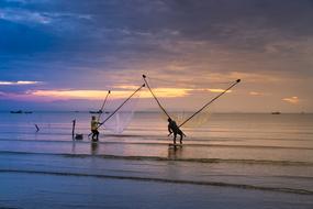 shellfish fishing on the coast at dusk