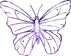 purple butterfly sketch on a white background