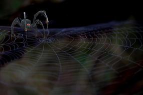 mechanical spider on a web in the dark