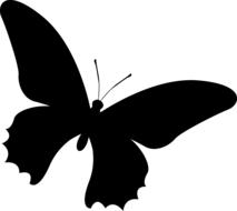 silhouette butterfly insect drawing