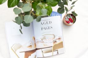 Green Plant and White book