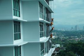 workers paint the facade of a skyscraper