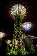 luminous trees in Singapore, Gardens by the Bay