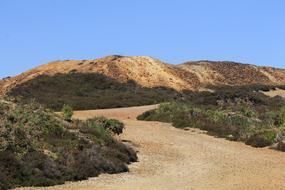 delightful Parys Mountain