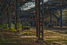 green plants grow in an abandoned factory building