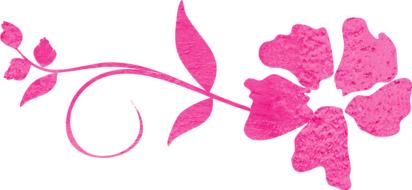 flower swirl pink decoration drawing