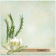 tranquility lotus flower