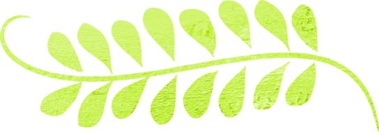 leaf swirl green as a drawing