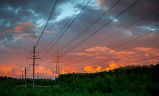 Electricity Industry