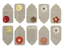 Colorful and beautiful flowers on the tags with text, at white background, clipart