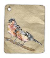 birds animal fly drawing