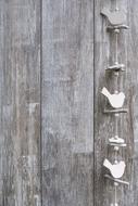delightful Background Wood Bird