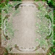 vintage background with ivy