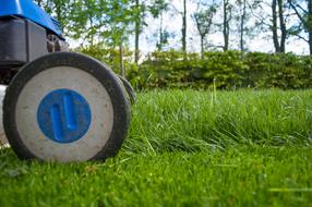 Gardening Lawn-Mower grass