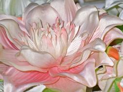 pink Flower Fabric